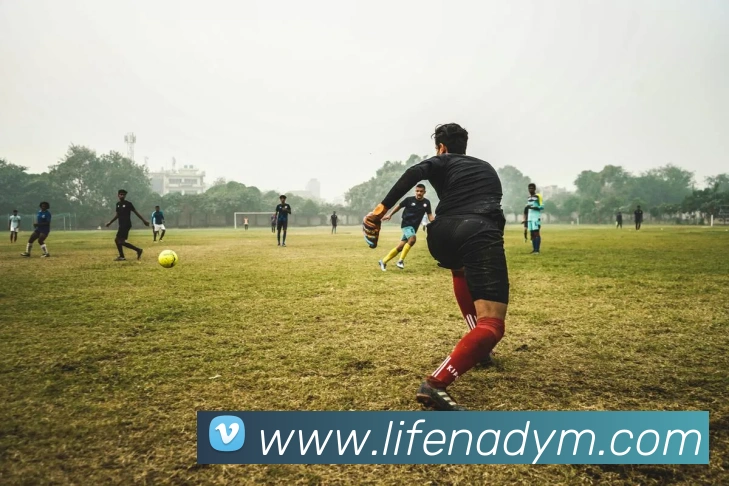 九游j9官网服务体系